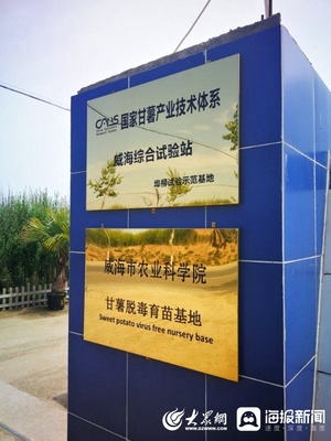 信息化+扶貧 榮成市催生脫貧新動能的信息技術咨詢服務